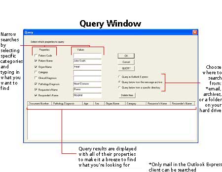 TeleStudio&trade; Query Window